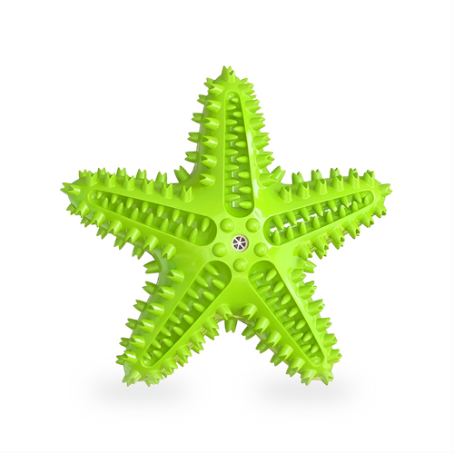 Starfish Squeaky Chew Toy