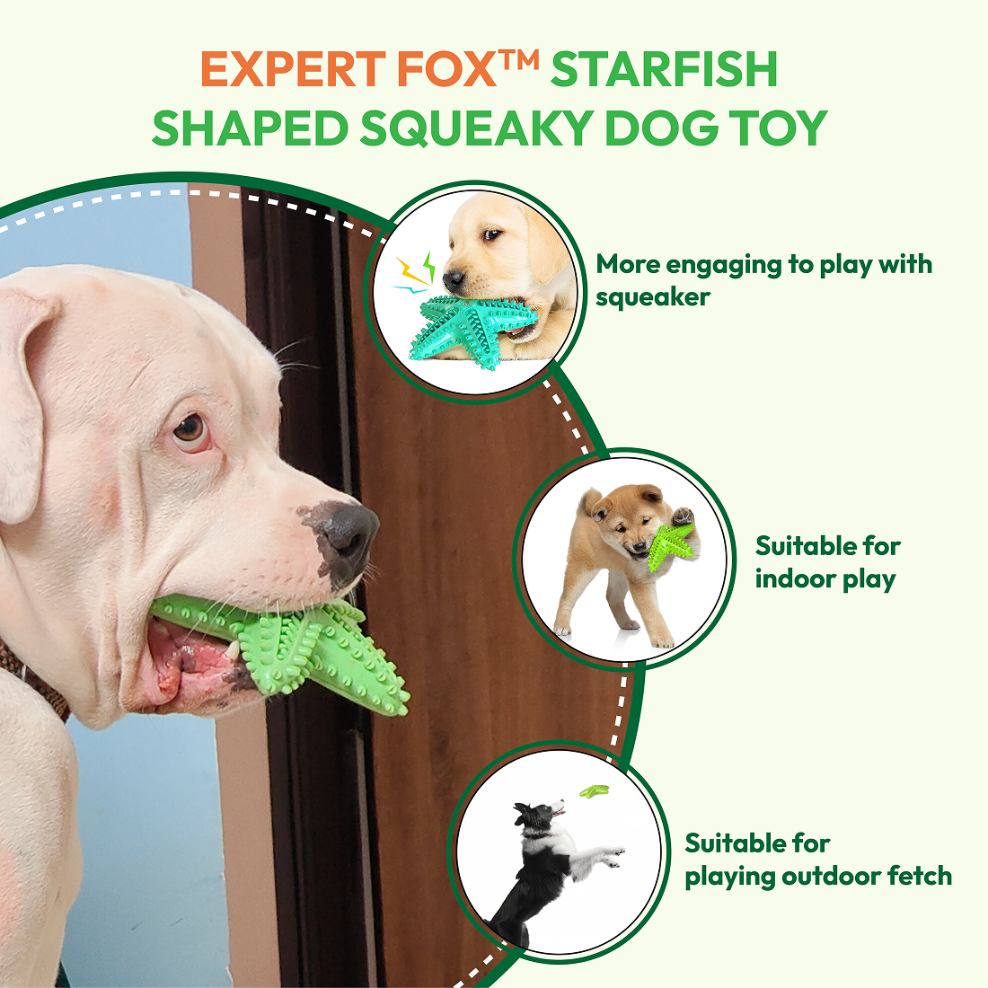 Starfish Squeaky Chew Toy