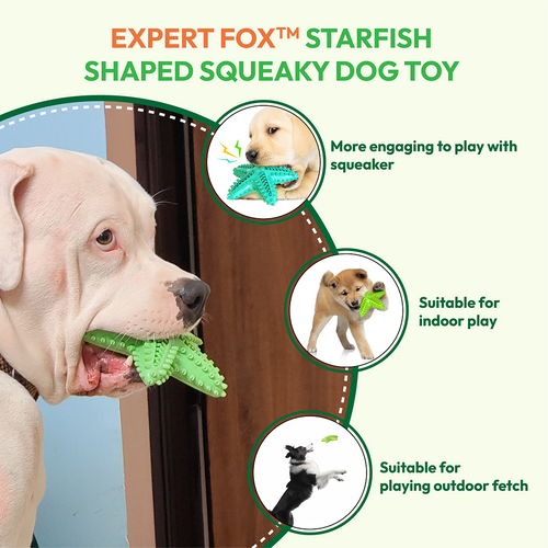 Starfish Squeaky Chew Toy