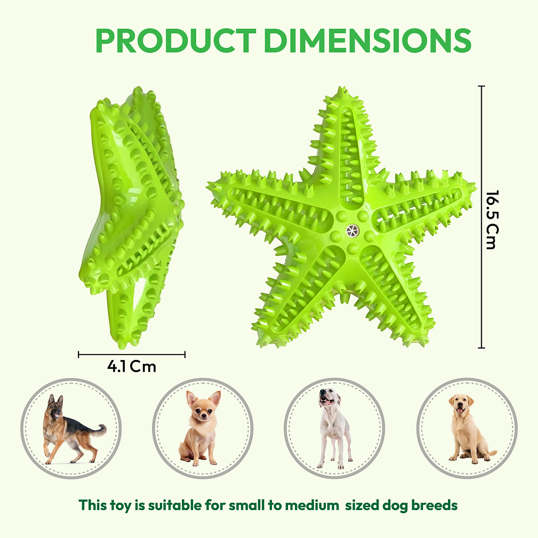 Starfish Squeaky Chew Toy