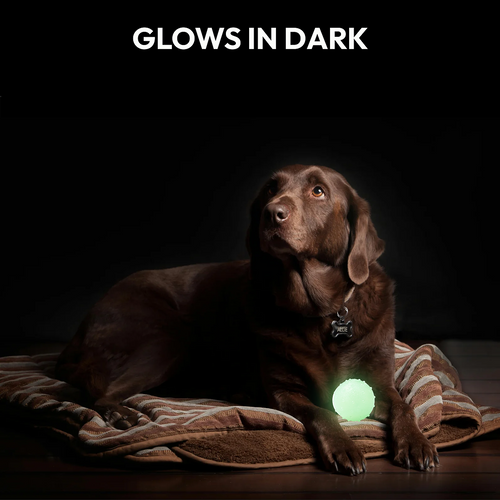 PawGlow - Luminous Bouncy Ball