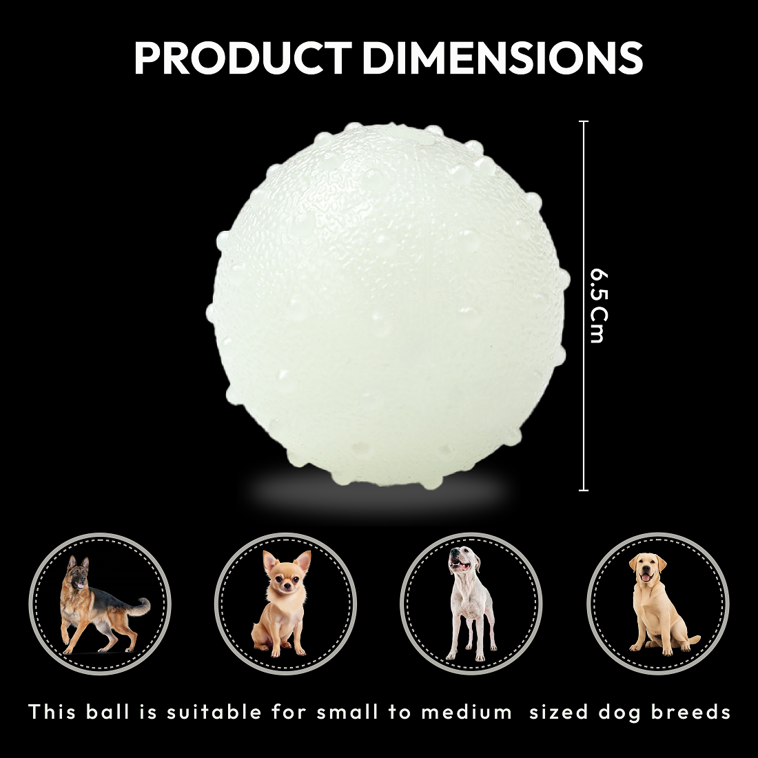 PawGlow - Luminous Bouncy Ball