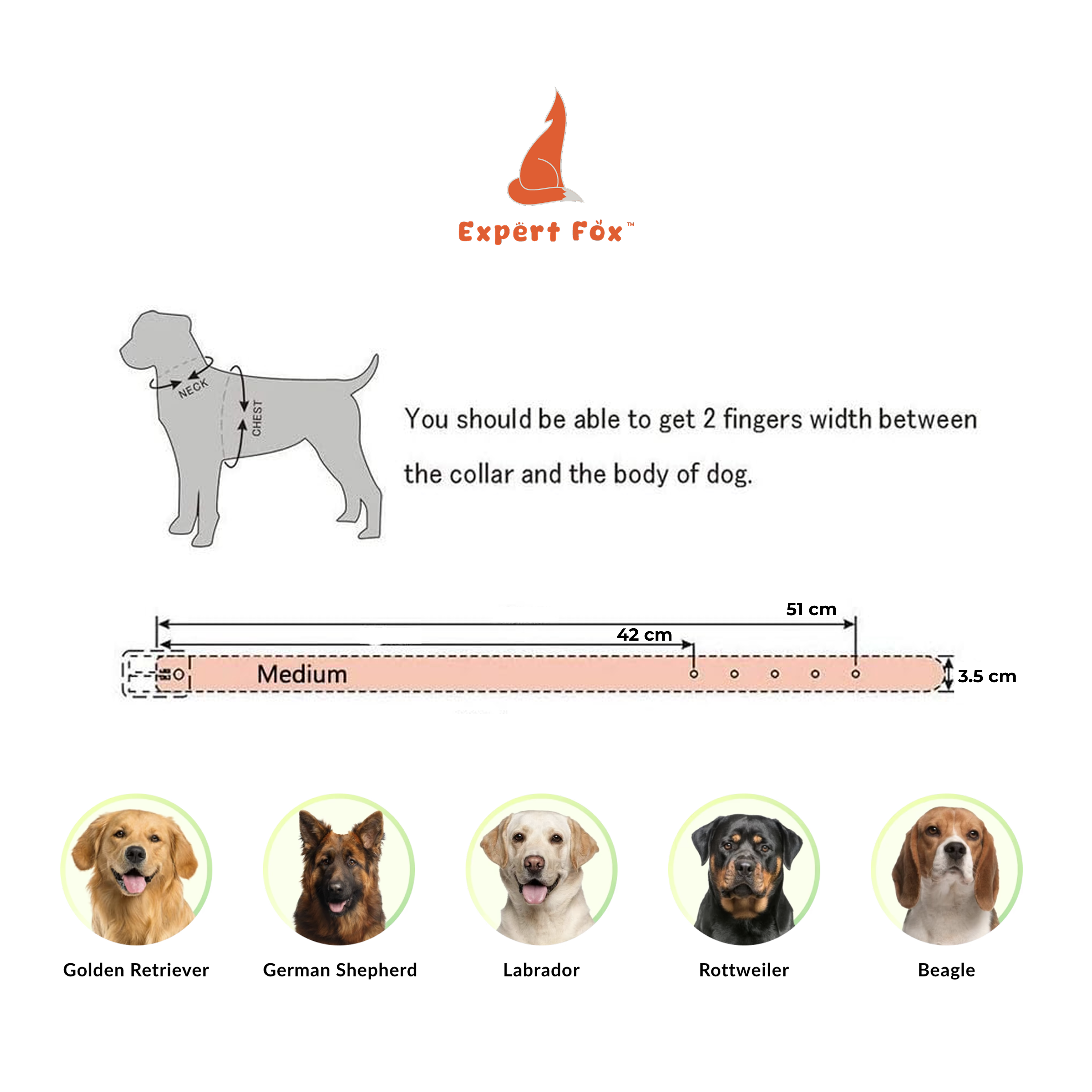 Spike Protection Collar
