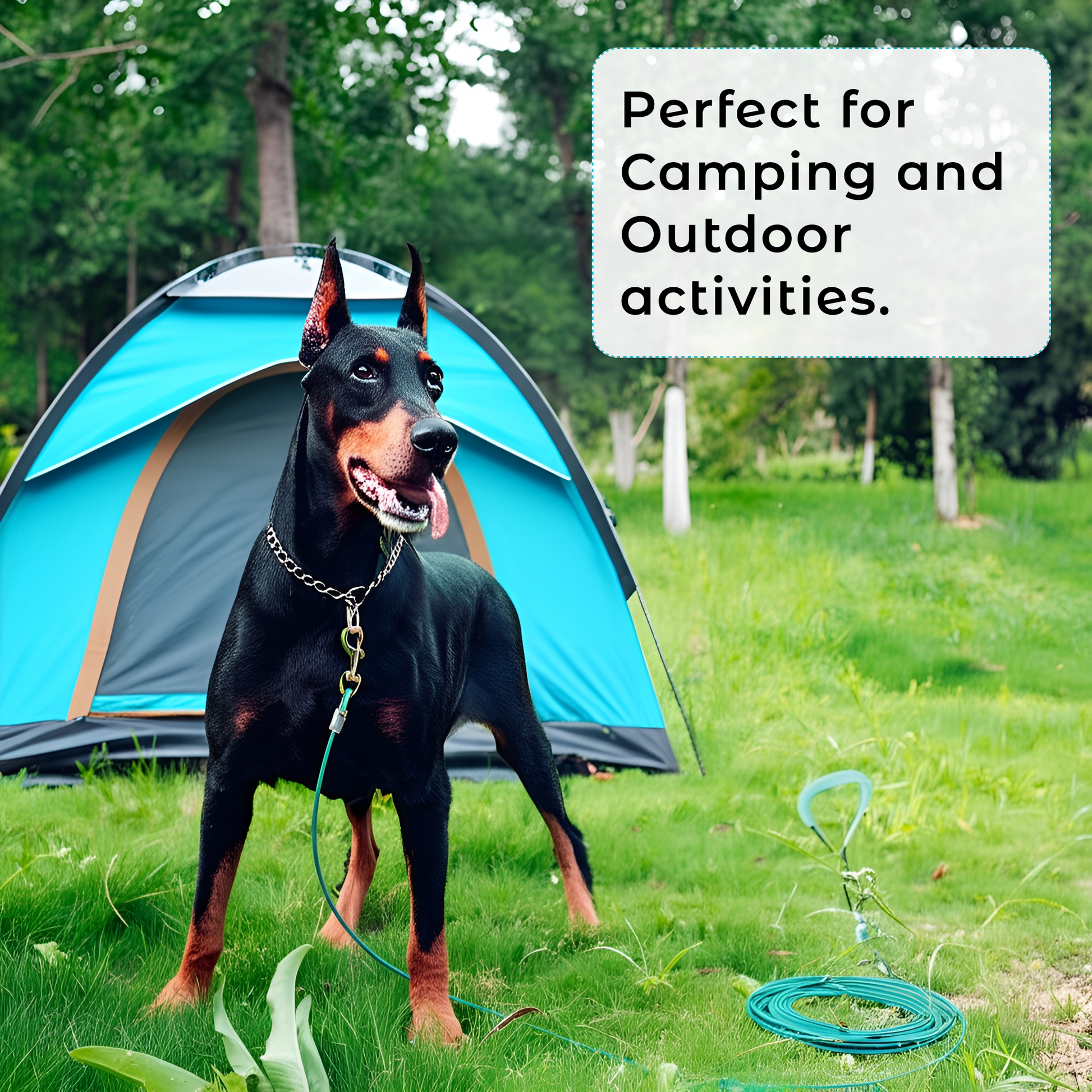 Tie-out Cable & Stake