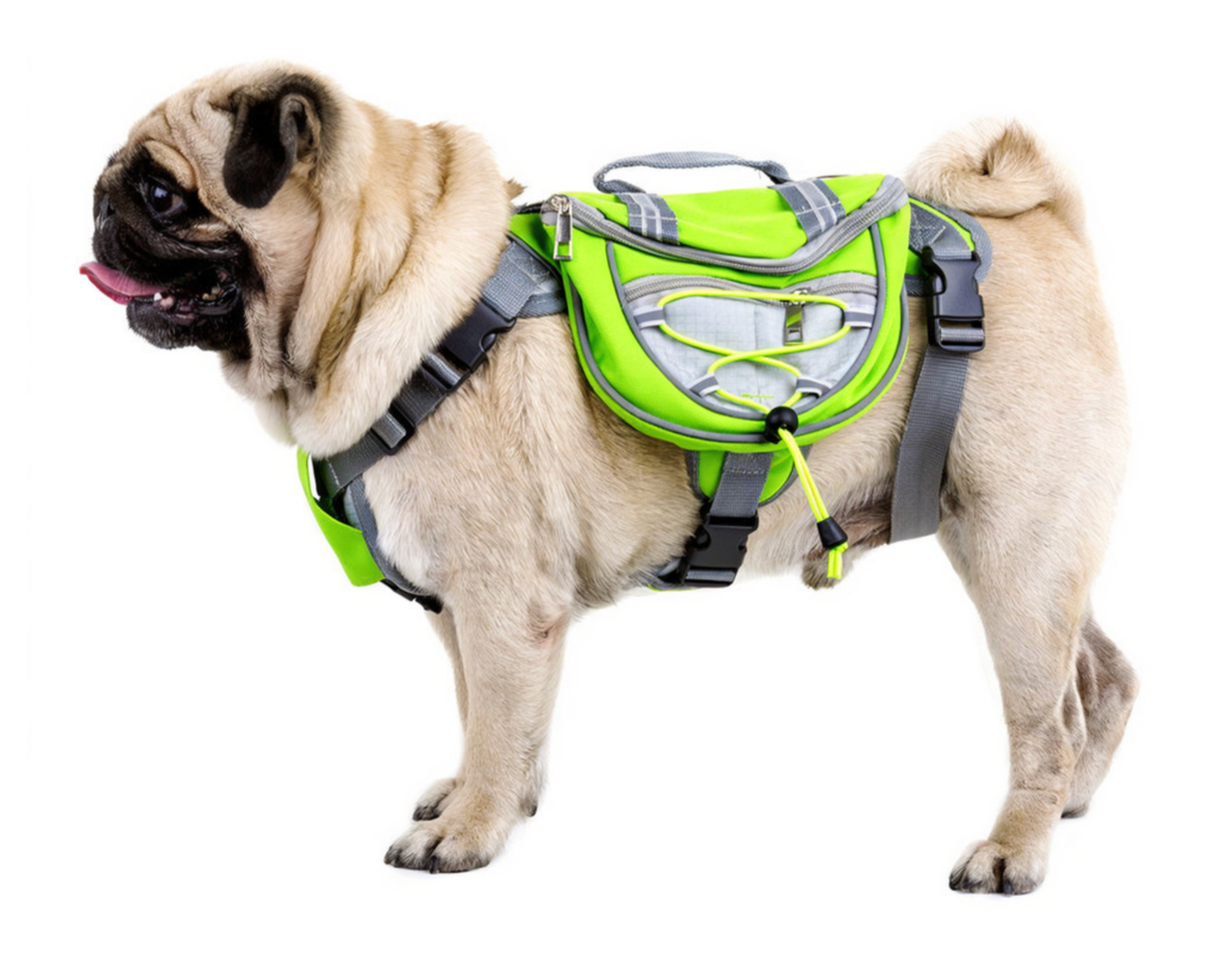 TailTrek Saddle Backpack